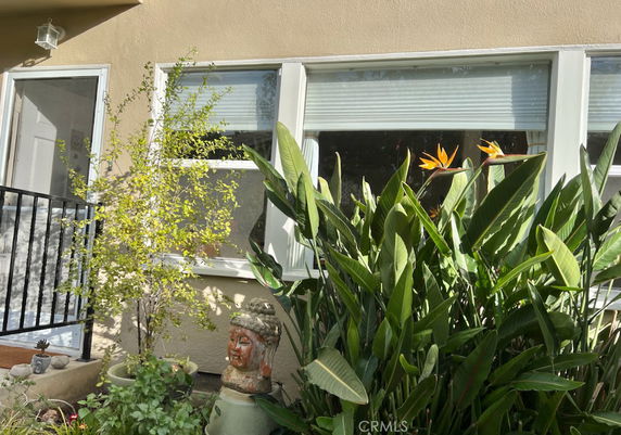 Front view of the building with windows and surrounding plants.