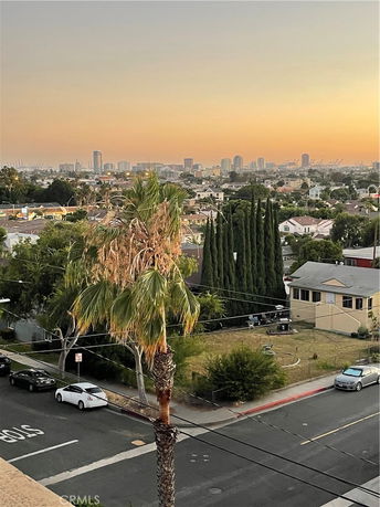 Panoramic view of a sunset over a cityscape with palm and pine trees.