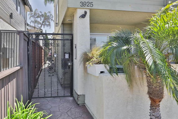 Front view of a house entrance with a metal gate and plant decorations.
