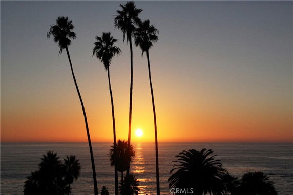 Scenic view of a sunset over the ocean with silhouetted palm trees.