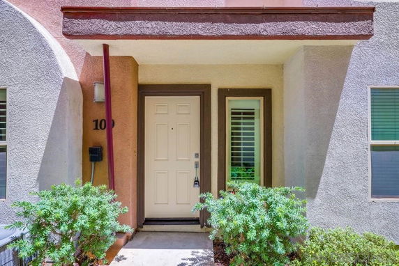 Front view of a house entrance with a door and surrounding plants.