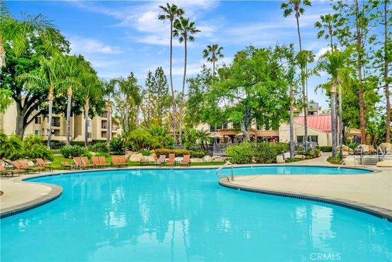 Outdoor swimming pool area surrounded by palm trees and multi-story buildings.