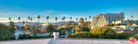Panoramic view of a cityscape with palm trees and buildings.