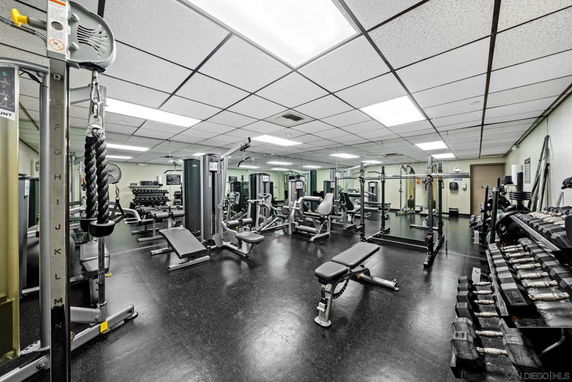 Interior view of a gym with exercise machines and weights.