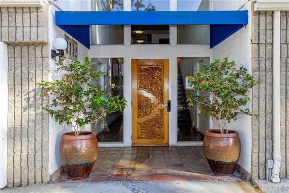 Entrance view of a building with an ornate wooden door and potted plants on either side.