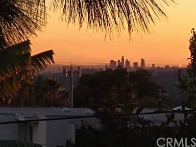 View of a city skyline in the distance during sunset with trees and rooftops in the foreground.
