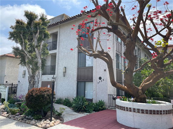 Front view of a multi-story building with balconies and a tree in front.