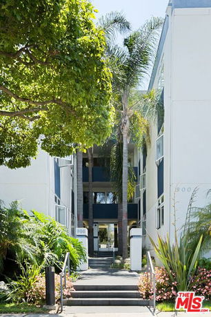 Front view of a multi-story building with palm trees near the entrance.