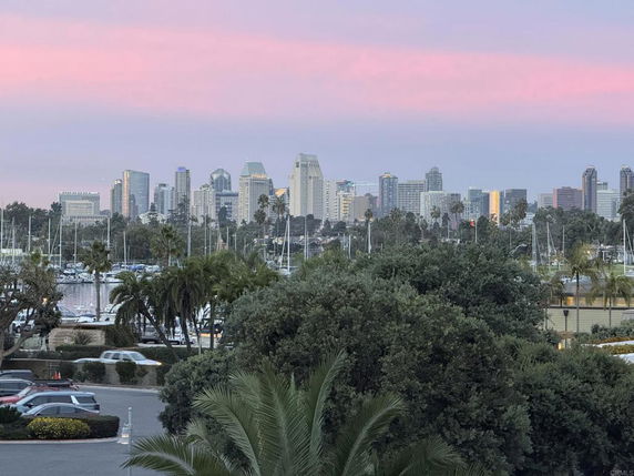 Skyline view with buildings and marina.