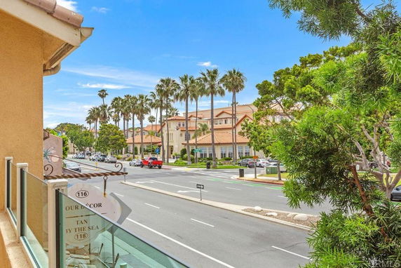 Street view with palm trees and buildings.