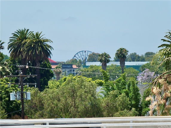Wide-angle view of trees, power lines, and a distant ferris wheel under a clear sky.
