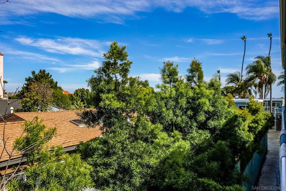 View from a building showing rooftops, trees, and a clear sky.