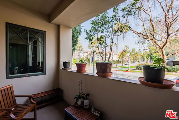 Balcony view showing potted plants and street with trees in the background.