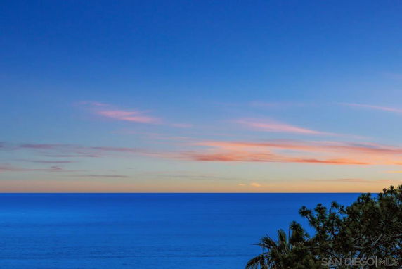 Panoramic view of the ocean during sunset with a clear sky and some trees in the foreground.