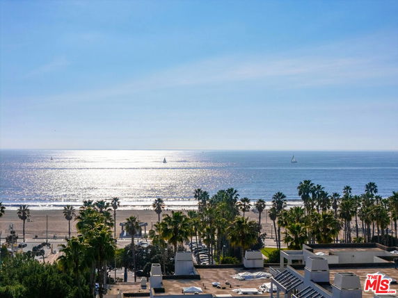 Panoramic view of ocean and beach with palm trees in foreground.