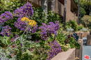 cacrmls/6d04d769b1d35528d8a76d4c9d6bff8c.jpg?width=131&height=105&format3=webp