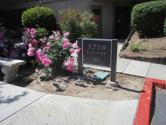 Entrance area of a building with sign and flowers.