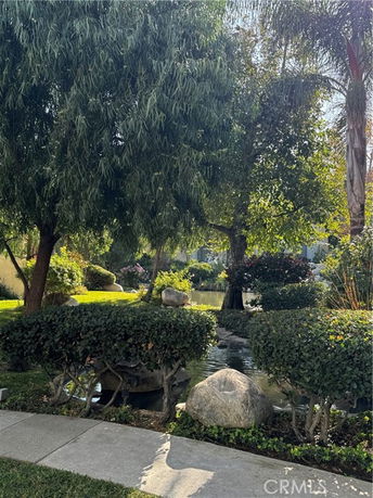 A landscaped outdoor area with large trees, shrubs, rocks, and a water feature.