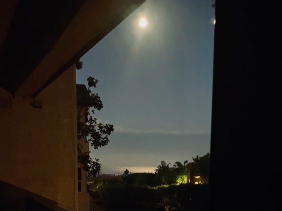 Nighttime view of a moonlit landscape with a building and trees.