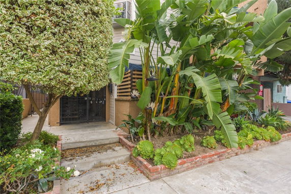 Front view of a building entrance with steps and surrounding greenery.