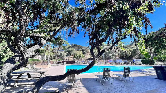 Outdoor swimming pool area with lounge chairs and surrounding trees.