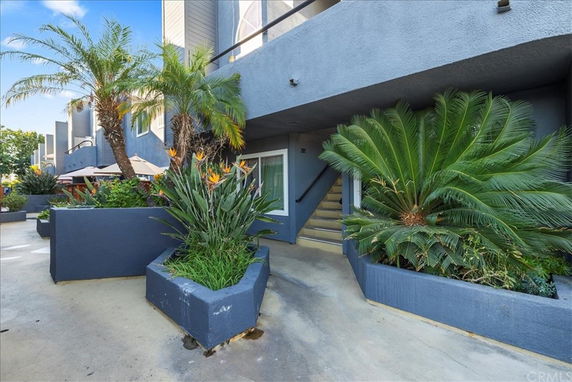 Front view of a multi-story building with planters and palm trees.