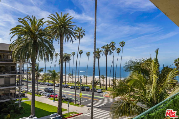 Panoramic beach view with palm trees and ocean.