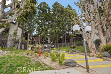 View of trees and walkway leading to a building entrance