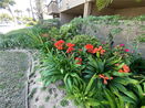 cacrmls/7091f3cb69215d961928a1bb7545cd68.jpg?width=131&height=105&format3=webp