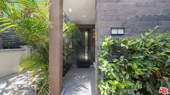Entrance of a modern house with wooden paneling and surrounding greenery.