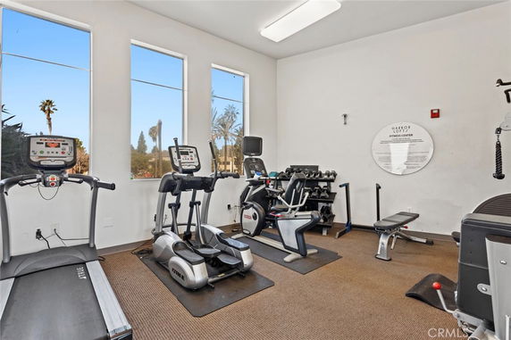 Interior of a fitness center with gym equipment.