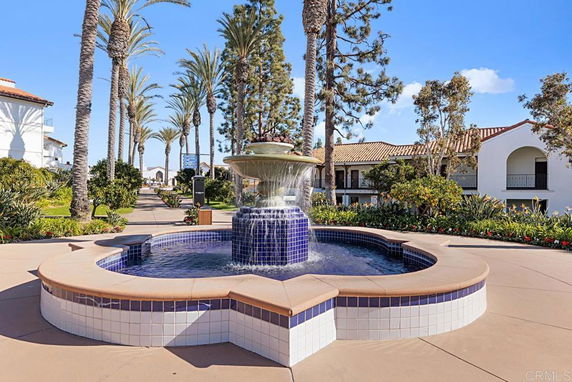 Fountain and palm trees in an outdoor area with buildings in the background.