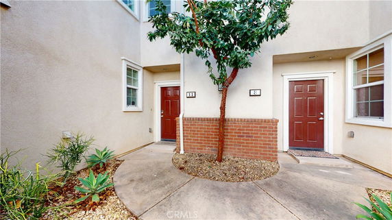 Front view of a building entrance with two doors on either side of a central tree, surrounded by a small landscaped area.