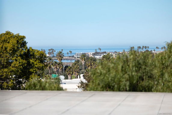 Panoramic view of a coastal area with palm trees and distant buildings.