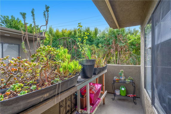Outdoor balcony area with potted plants and a view of surrounding greenery.