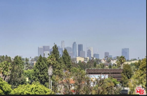 Panoramic view of a city skyline with trees in the foreground.