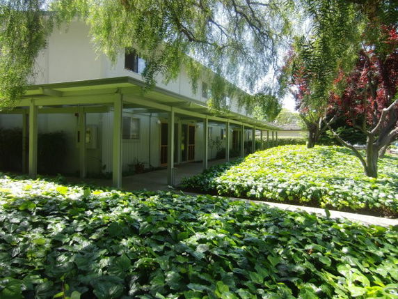 Building Images