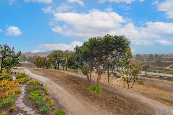 Dirt path and trees with a scenic view of hills and a river.