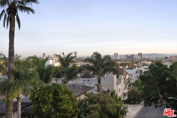 Panoramic view of a cityscape with palm trees and buildings.