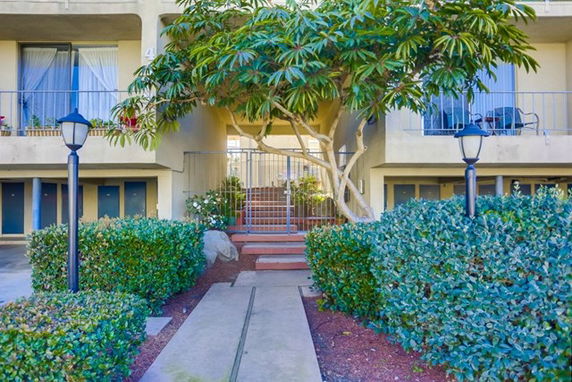 Front view of a building entrance with a pathway and ornamental plants.