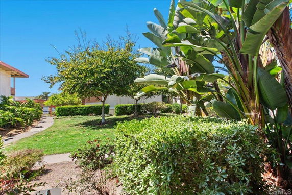 Outdoor view with lush greenery and pathways, surrounded by buildings.