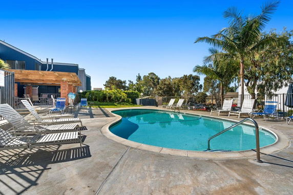 Outdoor swimming pool area with lounge chairs and palm trees.