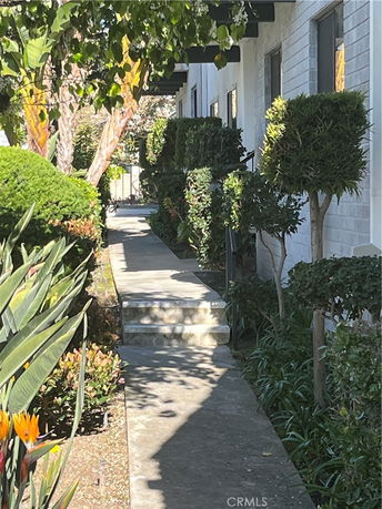Pathway alongside a white building surrounded by greenery and plants.