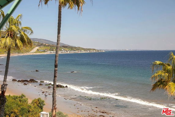 Panoramic view of a coastline with the ocean and palm trees.
