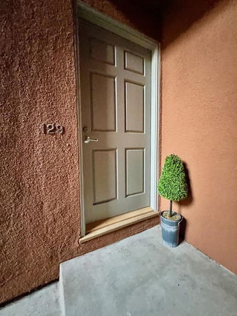 Front view of an entrance door with a small plant beside it.
