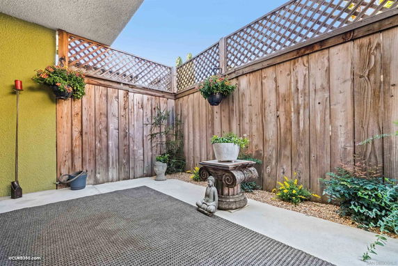 Outdoor area with wooden fencing, plants, and a decorative statue.