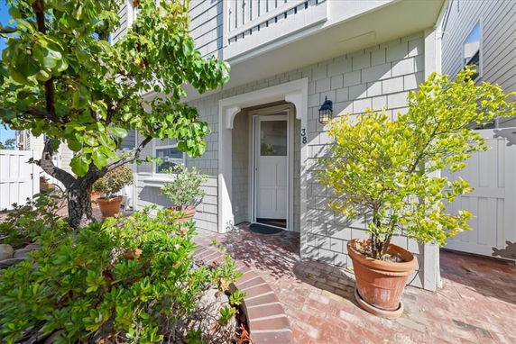 Front view of a house entrance with potted plants.