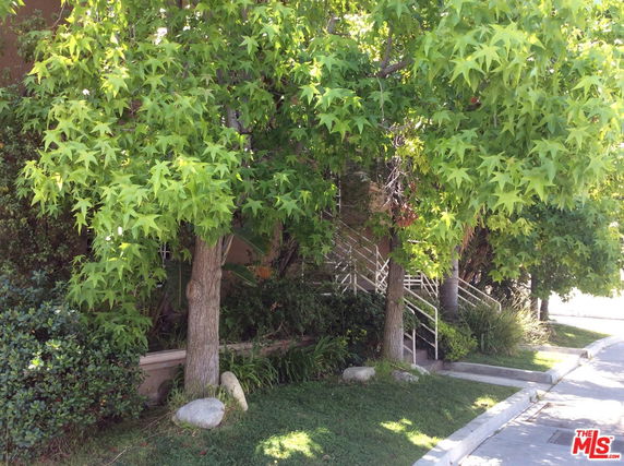 View of trees and a pathway near a building entrance