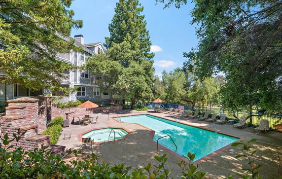 Outdoor swimming pool area with lounge chairs and trees surrounding.