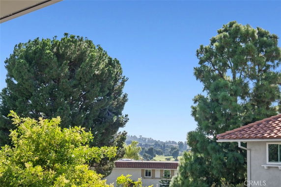 Panoramic view of trees and buildings from a higher vantage point.